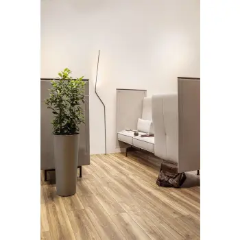 Panele podłogowe Weninger Aquatus - JUKON - 8mm, AC5 - Paczka 2,402m2